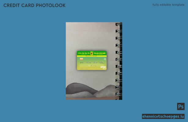 Beispielansicht für Visa-Fotos der Punjab and Sind Bank in Indien